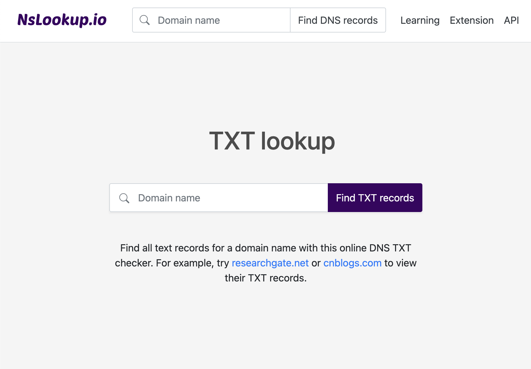 Open the TXT lookup tool